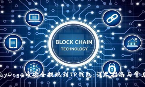 如何将BabyDoge币安全提现到TP钱包：详尽指南与常见问题解答