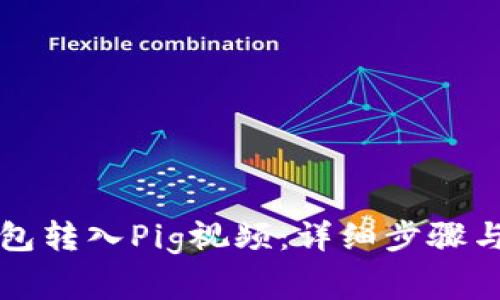 如何使用TP钱包转入Pig视频：详细步骤与常见问题解答