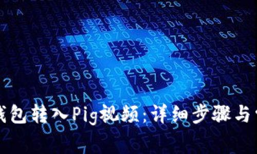 如何使用TP钱包转入Pig视频：详细步骤与常见问题解答