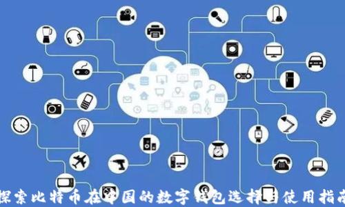 
探索比特币在中国的数字钱包选择与使用指南