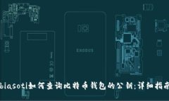 biasoti如何查询比特币钱包