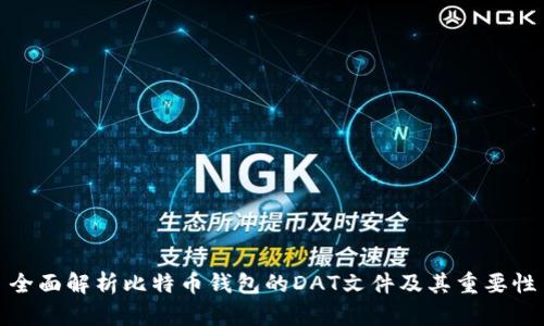 全面解析比特币钱包的DAT文件及其重要性