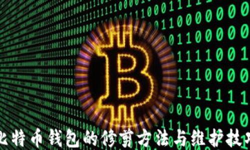 
比特币钱包的修剪方法与维护技巧