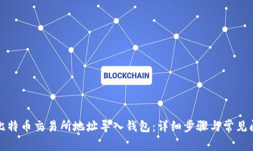如何将比特币交易所地址导入钱包：详细步骤与常见问题解答