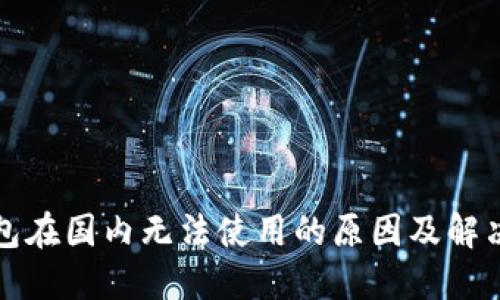 TP钱包在国内无法使用的原因及解决方案