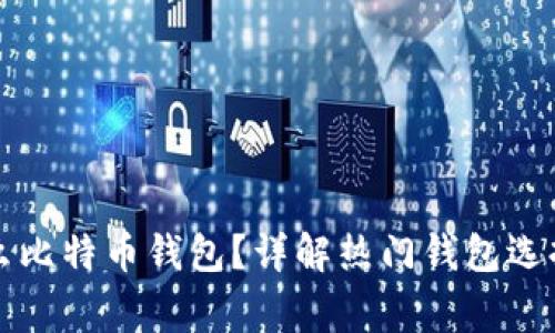 大家都用什么比特币钱包？详解热门钱包选择与使用指南