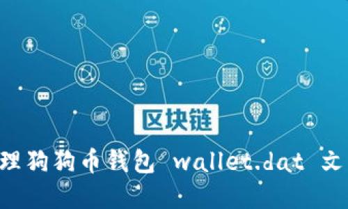 如何安全管理狗狗币钱包 wallet.dat 文件：完整指南