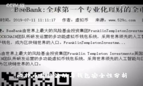 比特币价格波动与钱包安全性分析