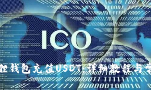 如何使用狐狸钱包充值USDT：详细教程与常见问题解答