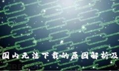 TP钱包在国内无法下载的原