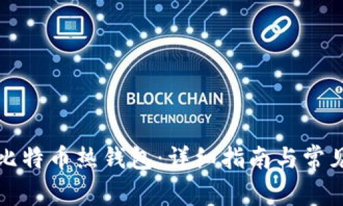 如何获取比特币热钱包：详细指南与常见问题解答