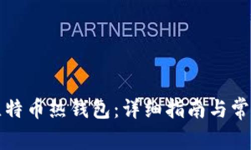 如何获取比特币热钱包：详细指南与常见问题解答