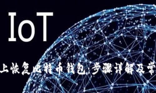 如何在Mac上恢复比特币钱包：步骤详解及常见问题解答