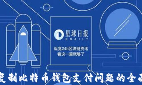 
解决复制比特币钱包支付问题的全面指南