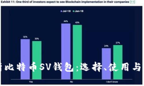 全面解析比特币SV钱包：选择、使用与安全指南