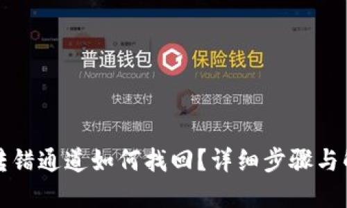 TP钱包转错通道如何找回？详细步骤与解决方案