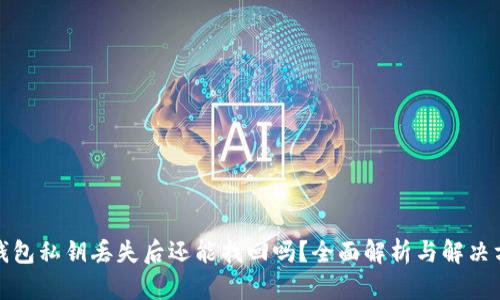 TP钱包私钥丢失后还能找回吗？全面解析与解决方案