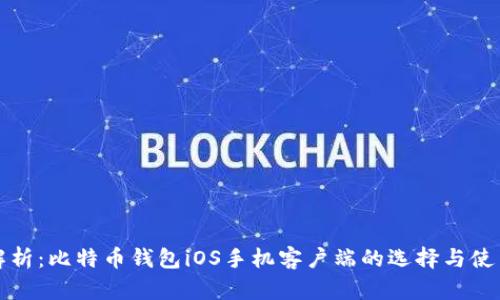 全面解析：比特币钱包iOS手机客户端的选择与使用指南