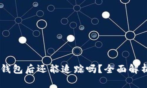 : USDT转到冷钱包后还能追踪吗？全面解析与安全性分析