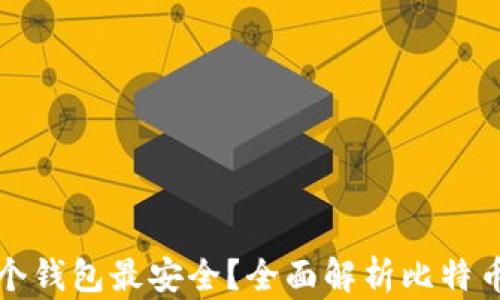 
比特币存放哪个钱包最安全？全面解析比特币钱包选择技巧