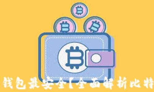 
比特币存放哪个钱包最安全？全面解析比特币钱包选择技巧