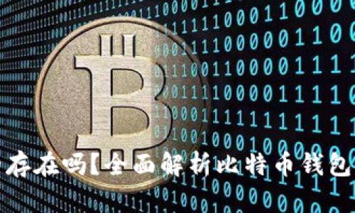 比特币钱包真的存在吗？全面解析比特币钱包的原理与安全性