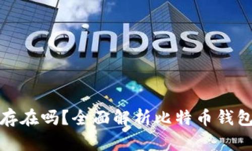 比特币钱包真的存在吗？全面解析比特币钱包的原理与安全性