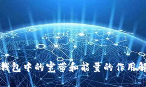 TP钱包中的宽带和能量的作用解析