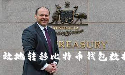 如何安全有效地转移比特币钱包数据：全面指南