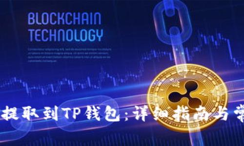 如何将USDT提取到TP钱包：详细指南与常见问题解答