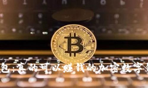 : TP钱包：真的可以赚钱的加密数字钱包吗？