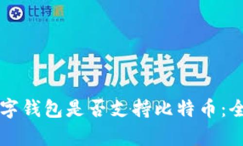 中国数字钱包是否支持比特币：全面解析