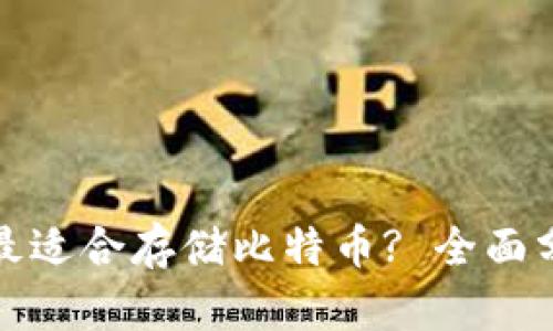 哪种钱包最适合存储比特币? 全面分析与推荐
