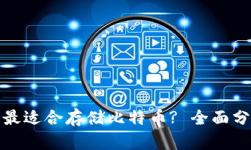 哪种钱包最适合存储比特币? 全面分析与推荐