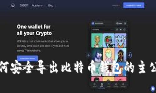 如何安全导出比特币钱包的主公钥