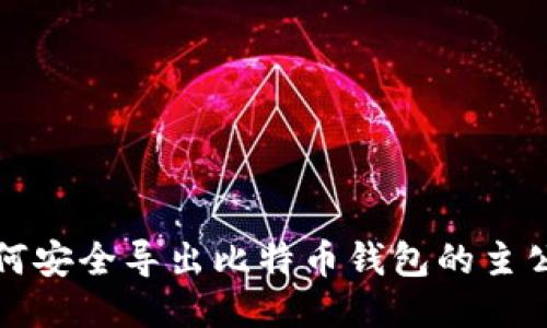 如何安全导出比特币钱包的主公钥