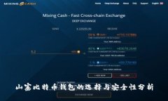 山寨比特币钱包的选择与