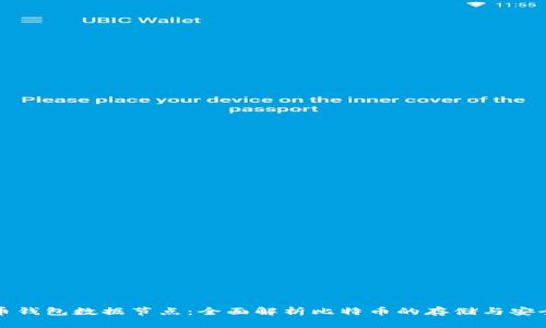 比特币钱包数据节点：全面解析比特币的存储与安全机制