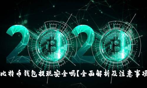 比特币钱包提现安全吗？全面解析及注意事项
