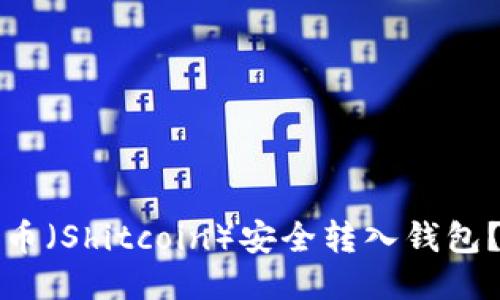 如何将屎币（Shitcoin）安全转入钱包？详细指南