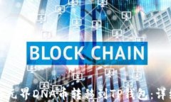 如何将元界DNA币转移到T