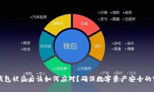 比特币钱包被盗后该如何应对？确保数字资产安全的实用指南