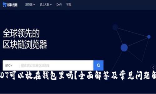 USDT可以放在钱包里吗？全面解答及常见问题解析