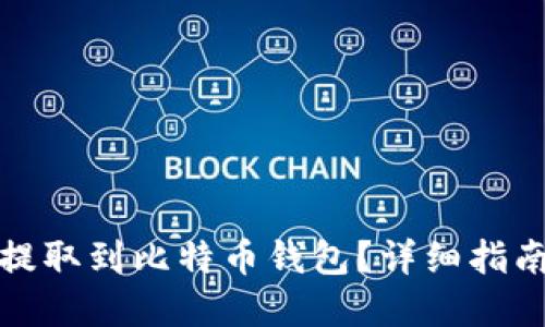 如何将现金提取到比特币钱包？详细指南与实用技巧