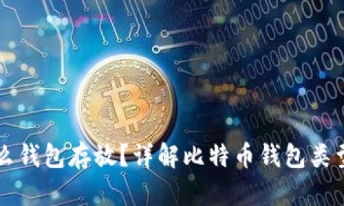 比特币用什么钱包存放？详解比特币钱包类型及选择指南