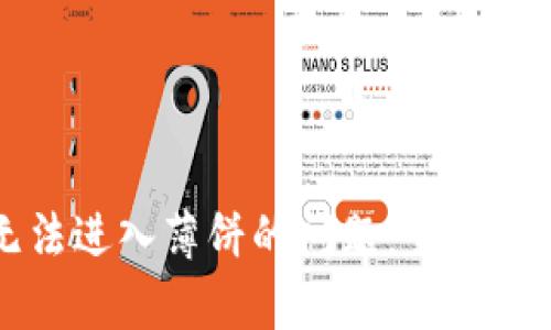 解决TP钱包无法进入薄饼的问题：全面解析与解决方案