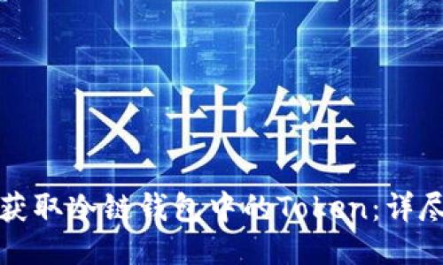 如何获取冷链钱包中的Token：详尽指南