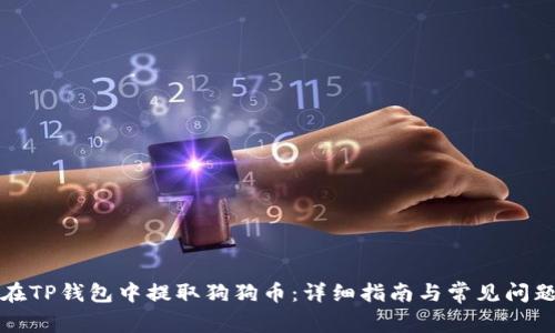 如何在TP钱包中提取狗狗币：详细指南与常见问题解析