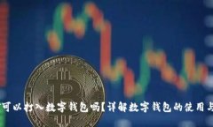 USDT可以打入数字钱包吗？