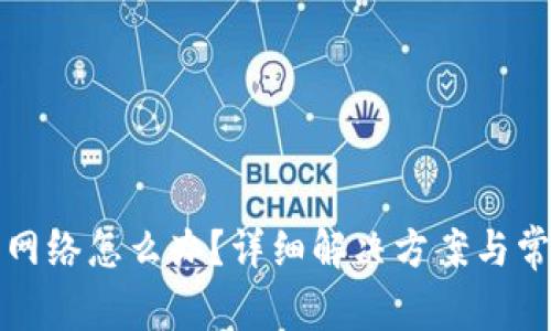 TP钱包没有网络怎么办？详细解决方案与常见问题解析